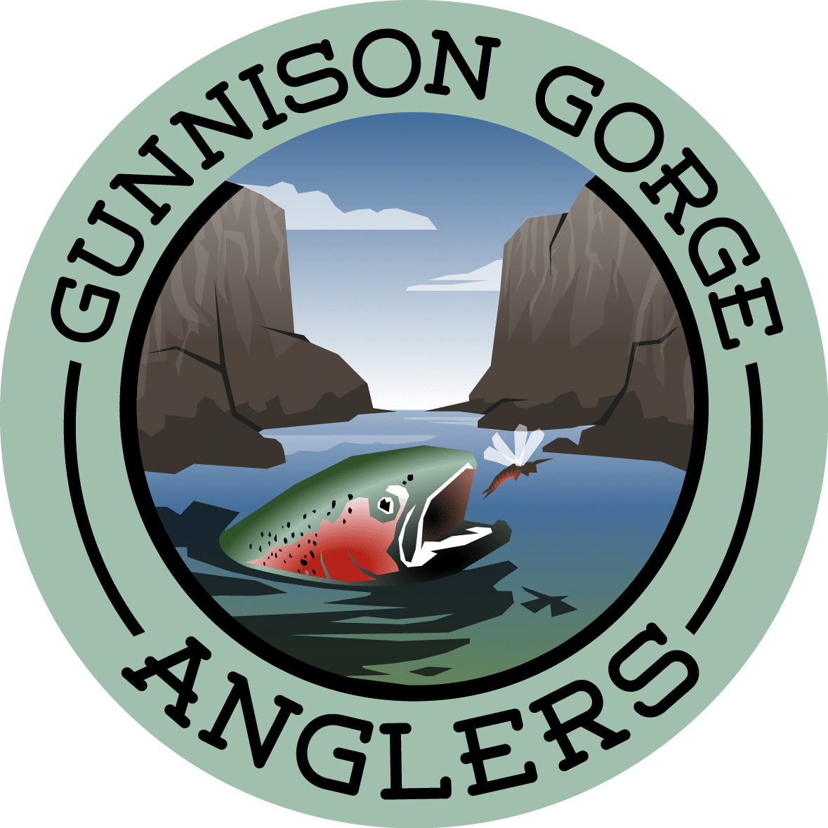 Logo Color Med Res Trans